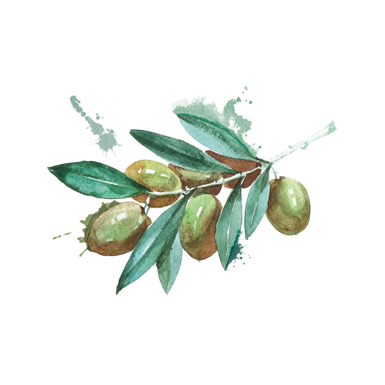 OILS, VINEGARS & DRESSING