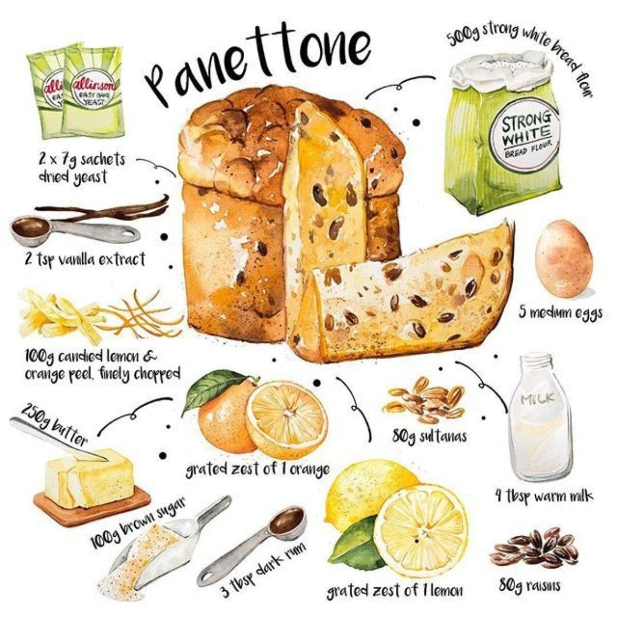 PANETTONE LINE