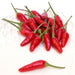 Calabrian Chili Peppers - 3kg (6.6lbs) Jar Antipasto & Bites SOGNOTOSCANO 