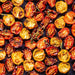 O'Vesuvio Semi-dry Yellow Tomatoes - 770gr Can Tomatos and Friends SOGNOTOSCANO 